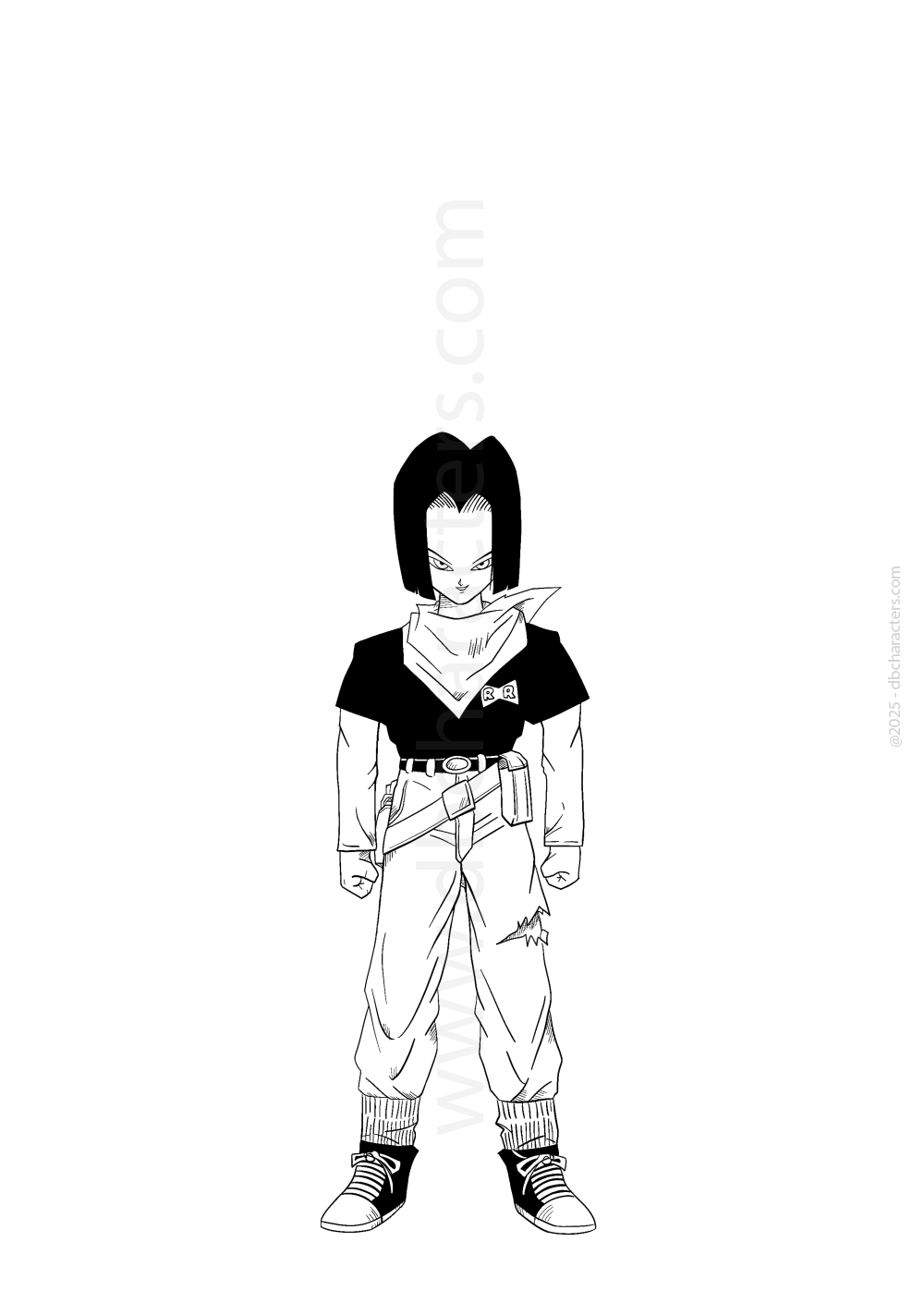 Android 17