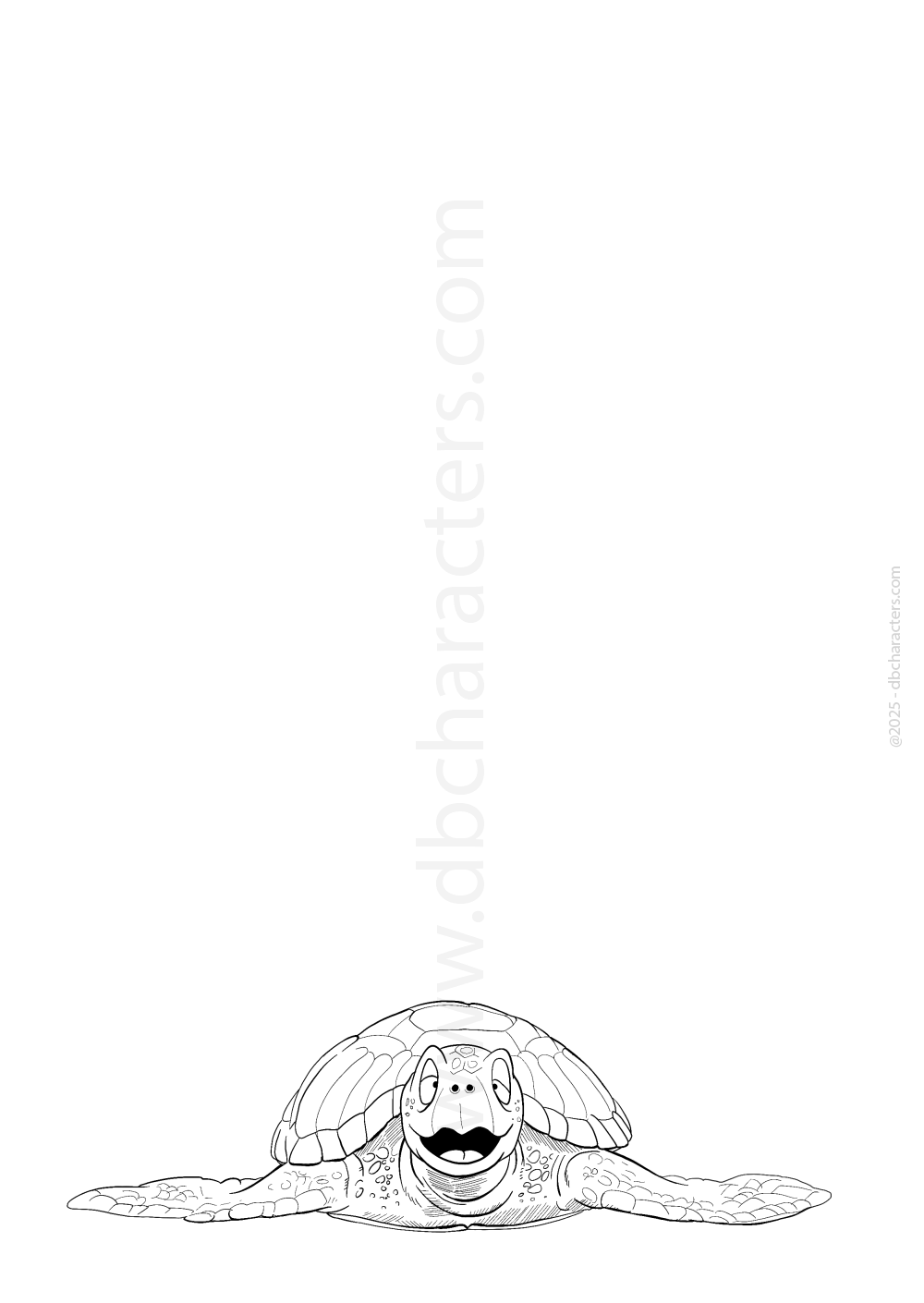 Tortue