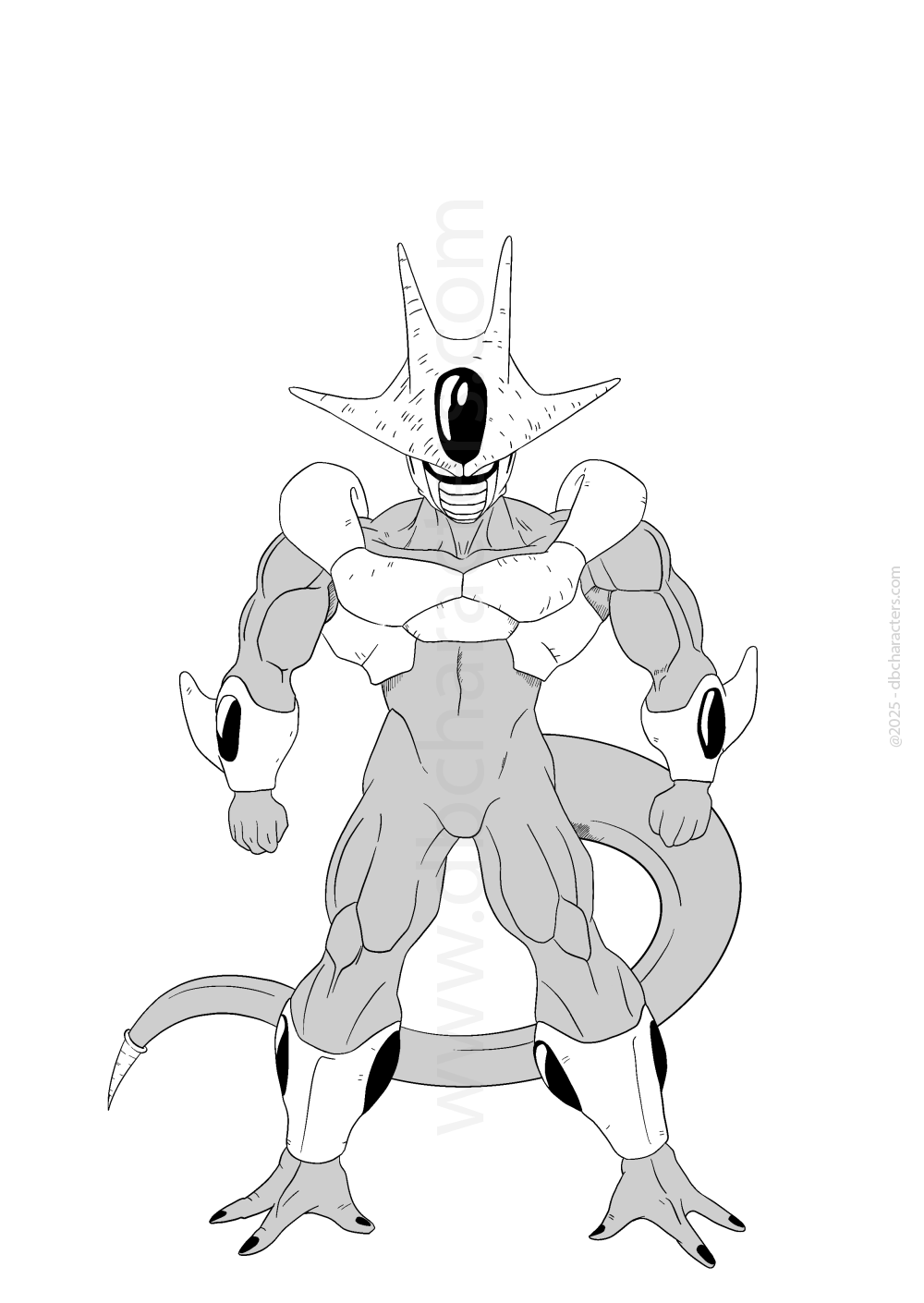 Cooler