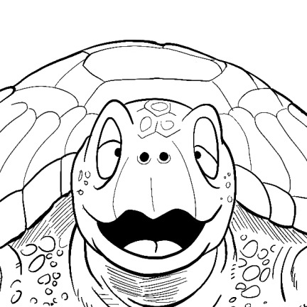 Tortuga