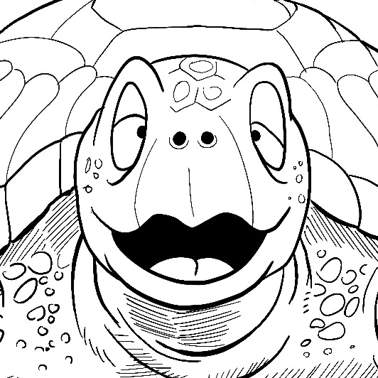 Tortue